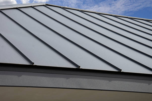 Best Roof Coating and Sealing  in Ransom Canyon, TX